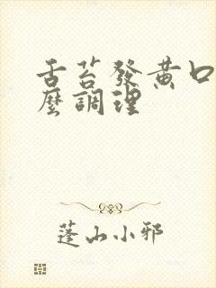 舌苔发黄口苦怎么调理