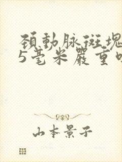 颈动脉斑块2.5毫米严重吗