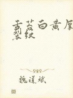 舌苔白黄厚腻有裂纹