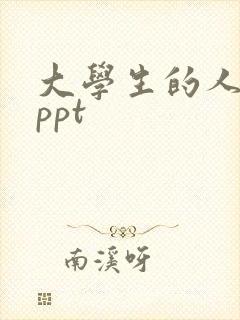 大学生的人生观ppt