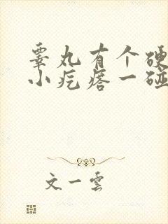 睾丸有个硬硬的小疙瘩一碰就疼