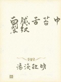 白腻舌苔中间有裂纹