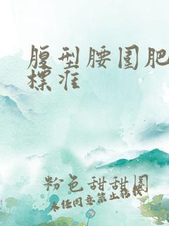 腹型腰围肥胖的标准