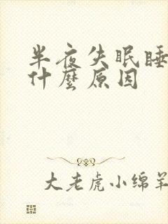 半夜失眠睡不着什么原因