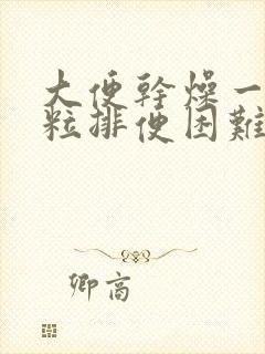 大便干燥一粒一粒排便困难