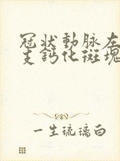 冠状动脉左前降支钙化斑块