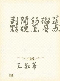 剥开的榴莲肉有点硬怎么办