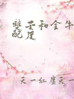 双子和金牛的匹配度