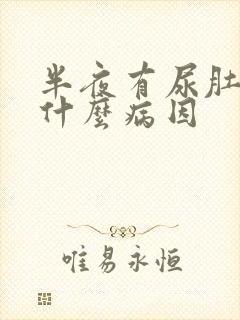 半夜有尿肚子胀什么病因