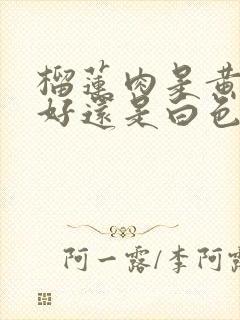 榴莲肉是黄色的好还是白色的好