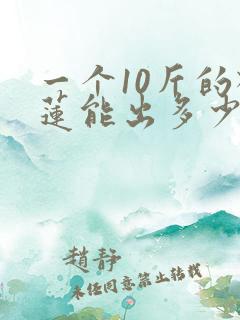 一个10斤的榴莲能出多少肉