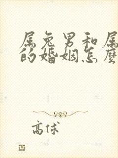 属兔男和属蛇女的婚姻怎么样