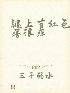 腿上有红色小疙瘩很痒