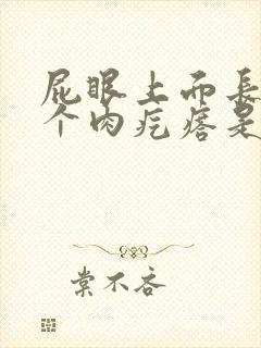 屁眼上面长了一个肉疙瘩是怎么回事