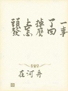 头上掉了一块头发怎么回事