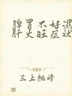 脾胃不好湿气重肝火旺症状