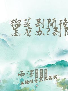 榴莲剥开后没熟怎么办?剥开的榴莲怎么催熟?