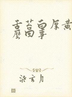 舌苔白厚黄是怎么回事