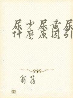 尿少尿黄尿频是什么原因引起的