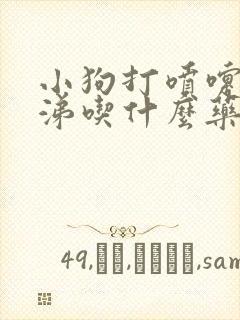 小狗打喷嚏流鼻涕吃什么药好