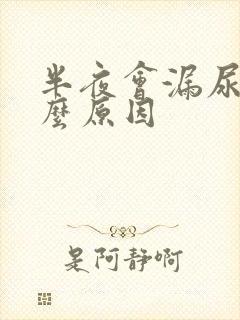 半夜会漏尿是什么原因