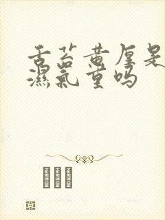 舌苔黄厚是体内湿气重吗