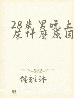 28岁男晚上尿床什么原因