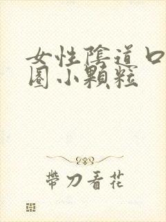 女性阴道口有一圈小颗粒