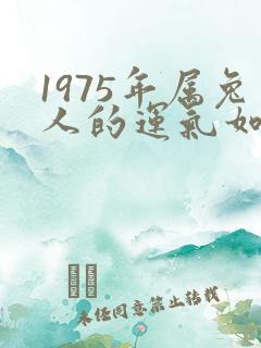 1975年属兔人的运气如何
