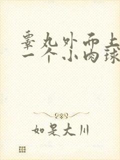 睾丸外面上长了一个小肉球硬硬的