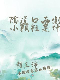 阴道口两侧很多小颗粒是什么原因