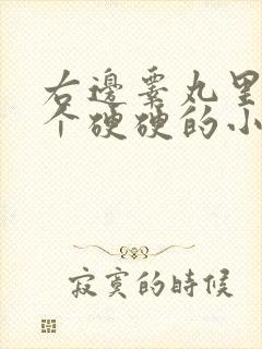 右边睾丸里面有个硬硬的小疙瘩