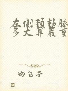 左侧颈动脉斑块多大算严重