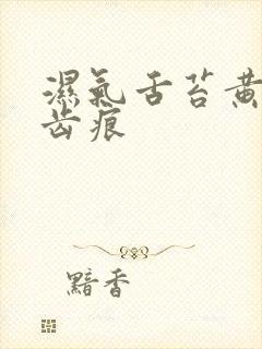 湿气舌苔黄腻有齿痕