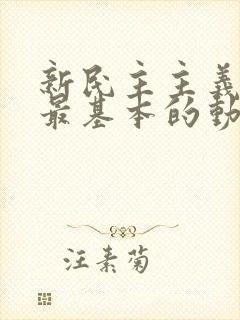 新民主主义革命最基本的动力是()