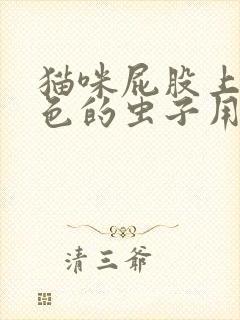 猫咪屁股上有白色的虫子用什么药治疗