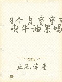 9个月宝宝可以吃牛油果吗