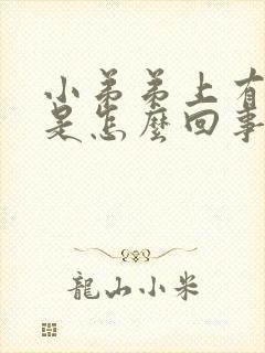 小弟弟上有小泡是怎么回事