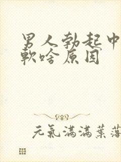 男人勃起中途变软啥原因