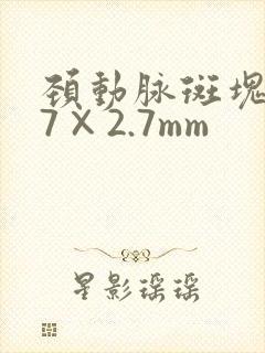 颈动脉斑块8.7×2.7mm