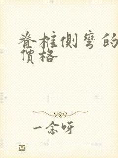 脊椎侧弯的支具价格