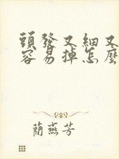 头发又细又软还容易掉怎么办