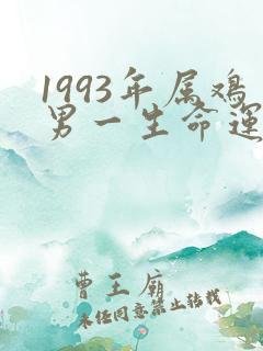 1993年属鸡男一生命运怎么样