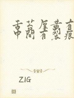 舌苔厚黄有齿痕中间有裂痕