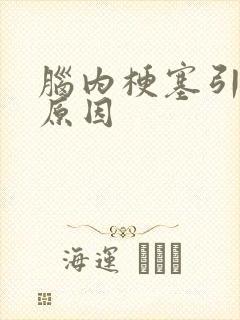 脑内梗塞引起的原因