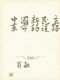 中国新民主主义革命的道路是