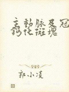 主动脉及冠脉见钙化斑块