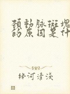 颈动脉斑块形成的原因是什么