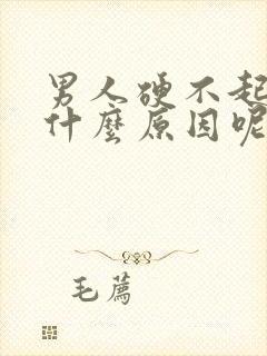 男人硬不起来是什么原因呢