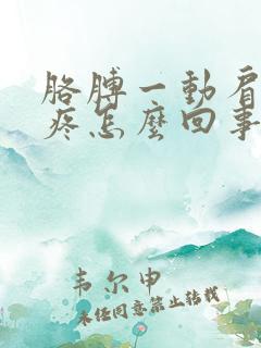 胳膊一动肩膀就疼怎么回事